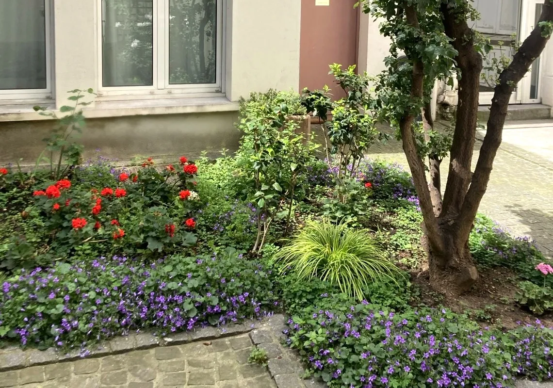 Cour intérieure du 16 rue du Faubourg du Temple, massif fleuri devant le cabinet de chiropraxie